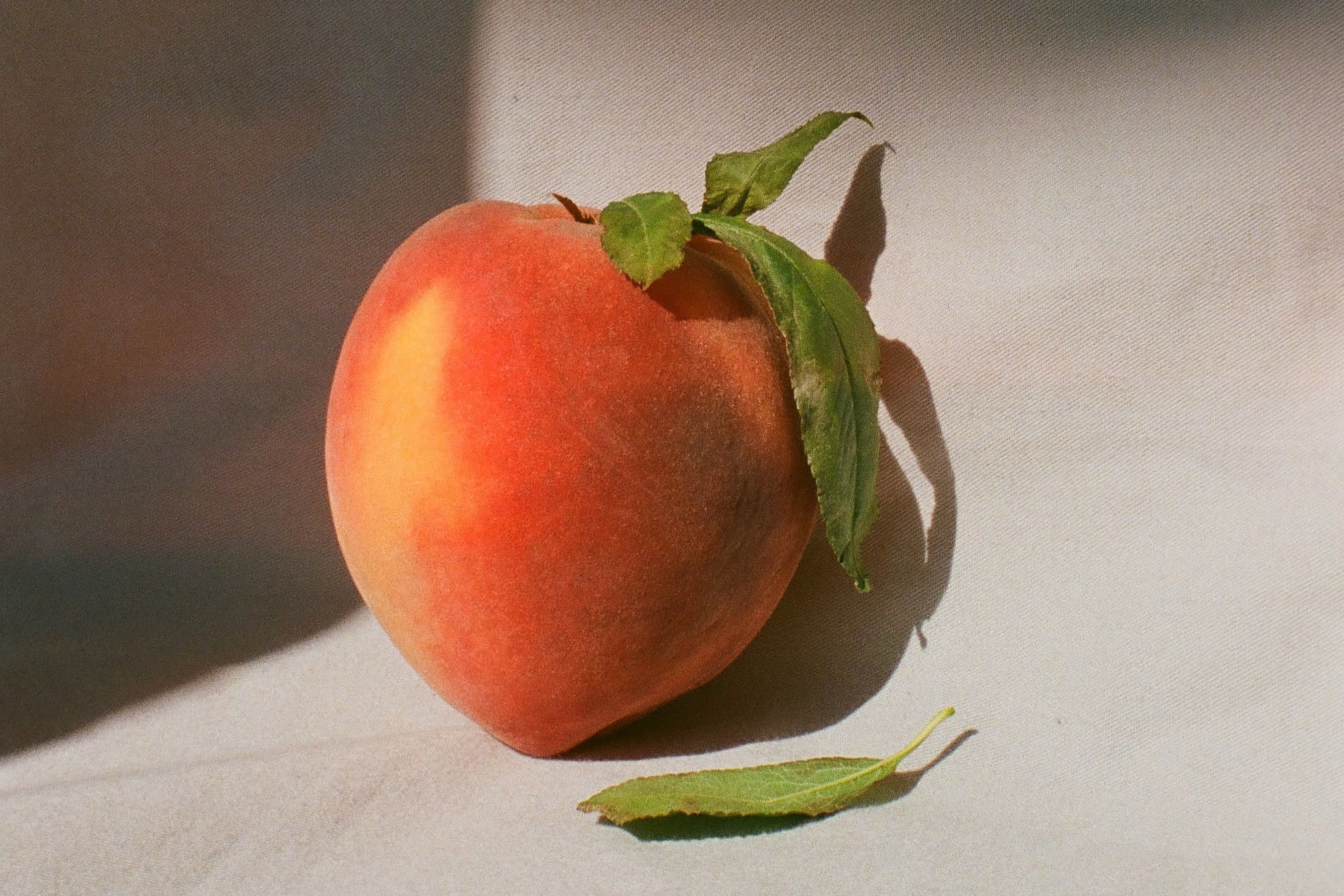 Analogue 4